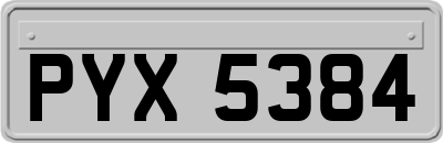 PYX5384