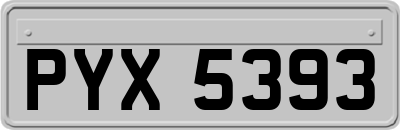 PYX5393