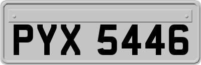 PYX5446