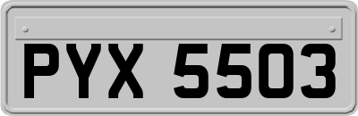 PYX5503