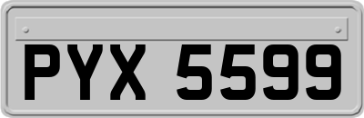 PYX5599
