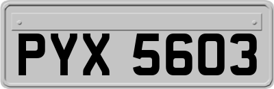 PYX5603