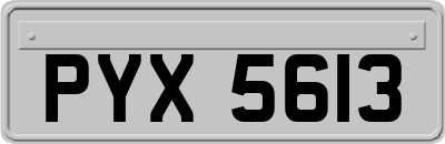 PYX5613