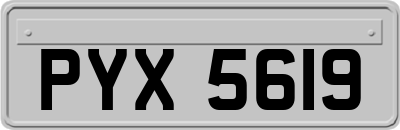 PYX5619