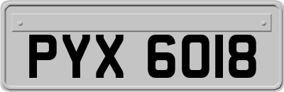 PYX6018