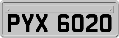 PYX6020