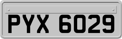PYX6029