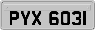 PYX6031