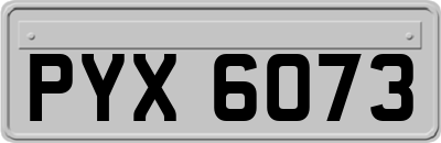 PYX6073