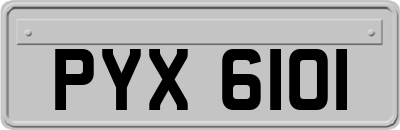 PYX6101