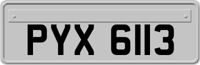 PYX6113