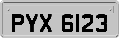 PYX6123