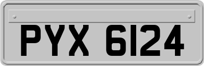 PYX6124