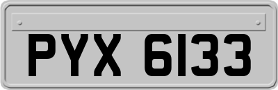 PYX6133