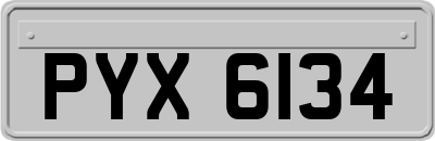 PYX6134
