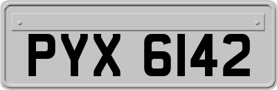 PYX6142