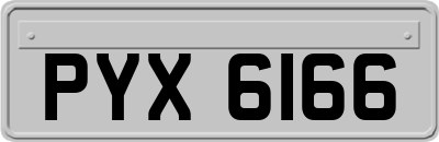 PYX6166