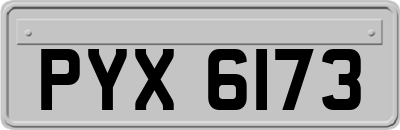 PYX6173