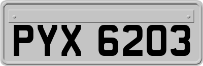 PYX6203