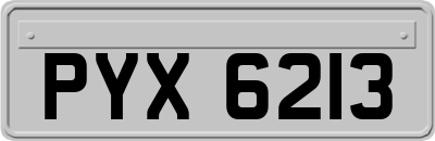 PYX6213