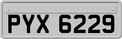 PYX6229
