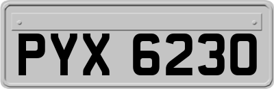 PYX6230