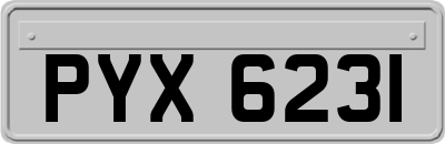 PYX6231