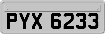 PYX6233