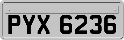 PYX6236