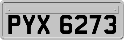 PYX6273