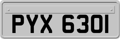 PYX6301