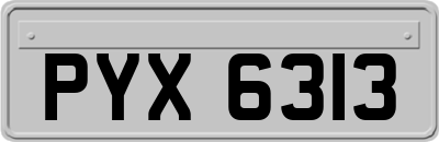 PYX6313