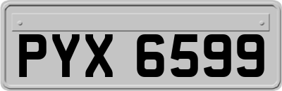 PYX6599