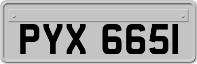 PYX6651