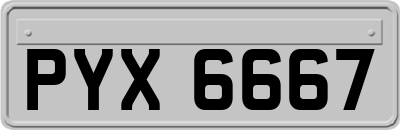 PYX6667