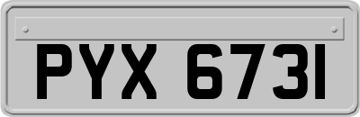PYX6731