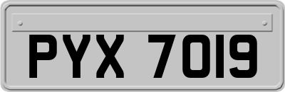 PYX7019