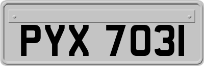 PYX7031
