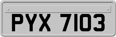 PYX7103