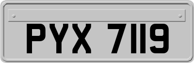 PYX7119