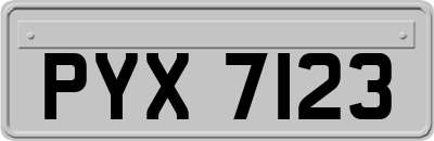 PYX7123