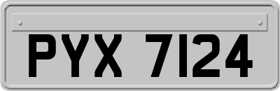 PYX7124