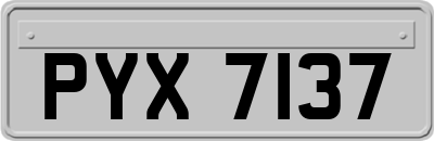 PYX7137