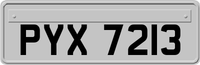 PYX7213