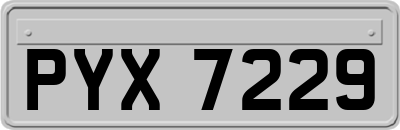 PYX7229