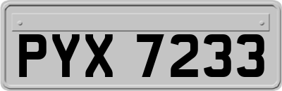 PYX7233