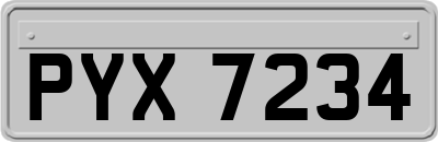 PYX7234