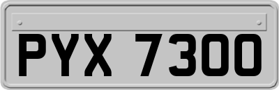 PYX7300