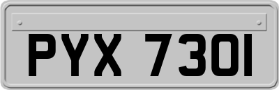 PYX7301
