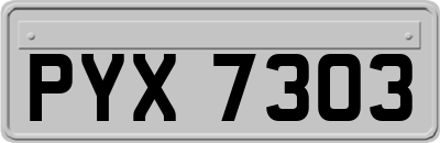 PYX7303